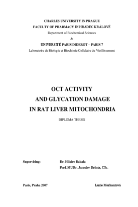 Document thumbnail