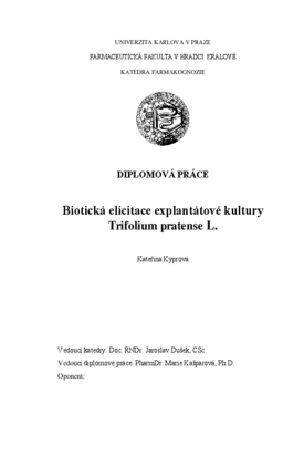 Document thumbnail