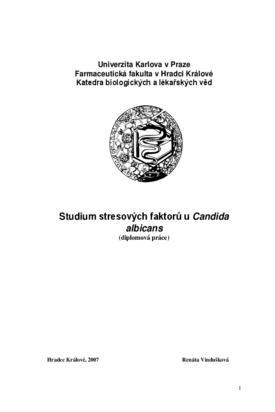 Document thumbnail