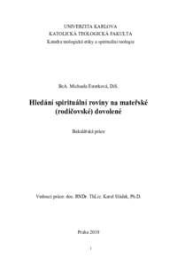 Náhled dokumentu