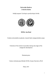 Document thumbnail