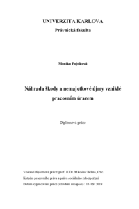 Náhled dokumentu