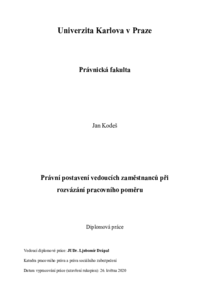Document thumbnail
