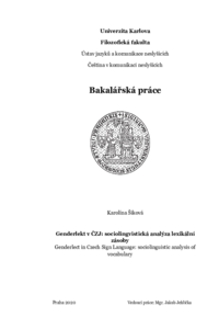 Document thumbnail