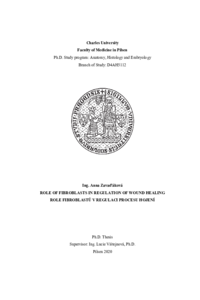 Document thumbnail