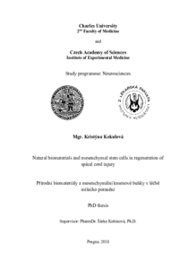 Document thumbnail