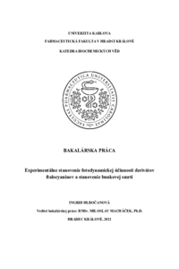Document thumbnail