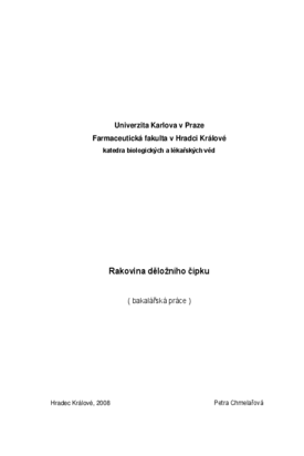 Náhled dokumentu