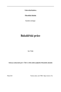 Document thumbnail