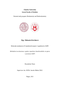 Document thumbnail