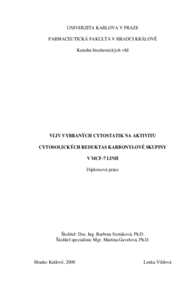 Document thumbnail