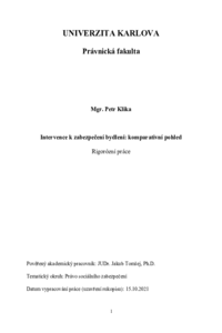 Document thumbnail