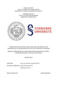 Document thumbnail