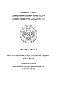 Document thumbnail