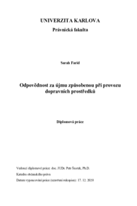 Document thumbnail