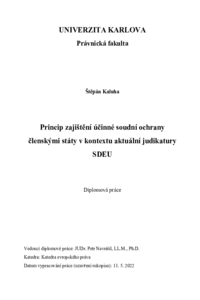 Document thumbnail