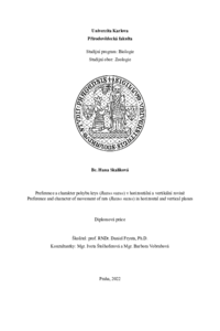 Document thumbnail