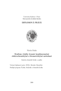 Document thumbnail