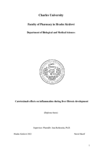 Document thumbnail