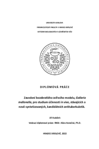 Náhled dokumentu