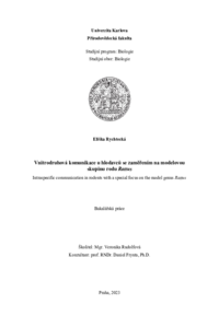 Document thumbnail