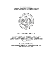 Document thumbnail