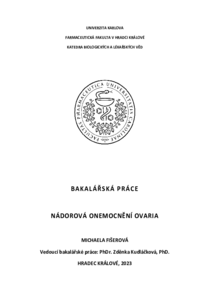 Náhled dokumentu