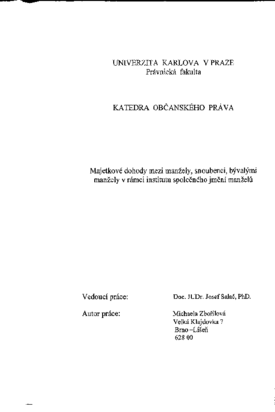 Document thumbnail
