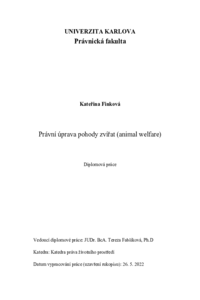 Document thumbnail