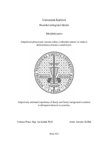 Document thumbnail
