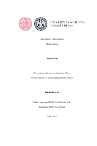 Document thumbnail