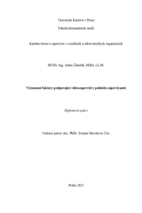 Document thumbnail
