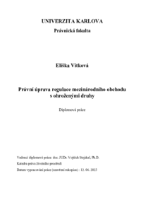 Document thumbnail