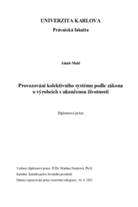 Document thumbnail