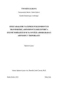 Náhled dokumentu