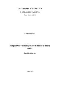 Document thumbnail