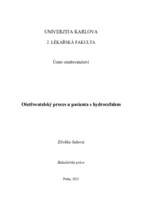 Náhled dokumentu