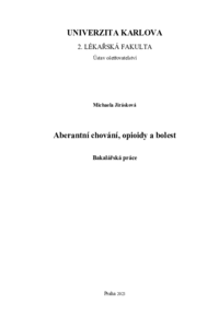 Document thumbnail