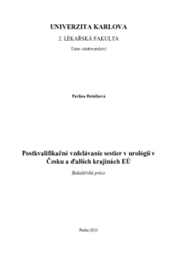 Document thumbnail