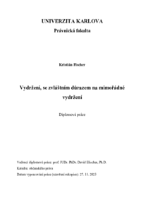 Document thumbnail
