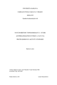 Document thumbnail