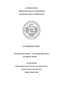 Document thumbnail