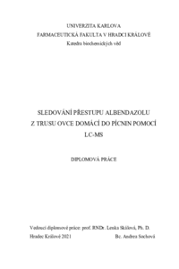 Document thumbnail