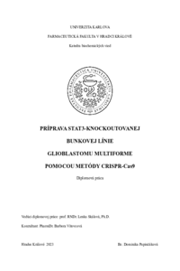 Document thumbnail