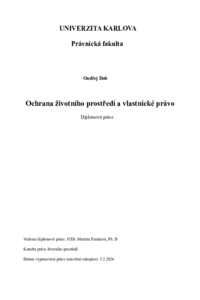 Document thumbnail