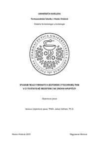 Document thumbnail
