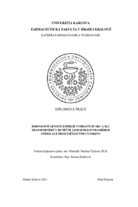 Document thumbnail