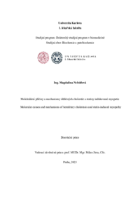 Document thumbnail