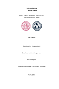 Document thumbnail