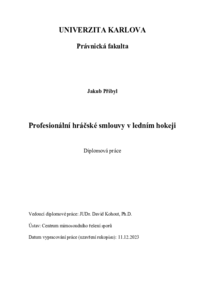 Náhled dokumentu